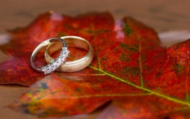 rings